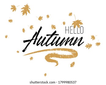 Hello autumn seasonal calligraphic banner vector design with falling dry leaves. Greeting card with Hello autumn lettering calligraphy, brush stroke curve element. Handwritten effect. Seasonal poster.