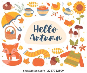 Hello autumn set. Collection of seasonal items, sweater and scarf, foliage, fall, fox and pumpkin. Poster or banner for website. Cartoon flat vector illustrations isolated on white background