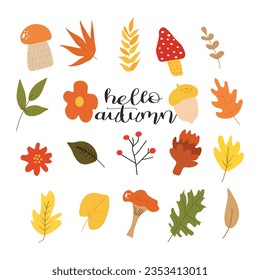 hello autumn set element fall leaf