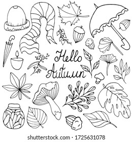 Hello Autumn. Set with elements of the autumn concept. Vector isolated illustration with acorn, plants, branches, umbrellas, hat, scarf on a white background. Autumn - Doodle style.