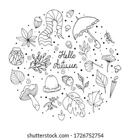 Hello Autumn. Set with elements of the autumn concept. Autumn - Doodle style. Vector isolated illustration with acorn, plants, branches, umbrellas, hat, scarf on a white background.