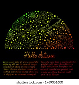 Hello Autumn. Set with elements of the autumn concept. Vector isolated illustration with acorn, plants, branches, umbrellas, hat, scarf on a white background. Autumn - Doodle style. Vector file.
