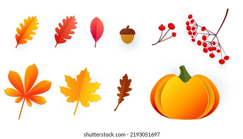 Hello, Autumn. Set of autumn elements in paper cut style. Leaves, berries, acorns, pumpkin. Template for the design of banners, posters, advertising, postcards, sales Vector illustration