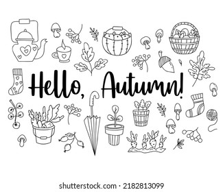 Hello autumn set hand doodles. wicker basket with mushrooms, picking vegetables, an acorn and mushrooms, flowerpot and an umbrella, teapot with cup and knitted socks. Vector Isolated outline elements