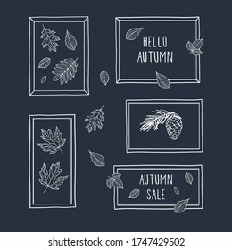 Hello autumn. Set of hand drawn frames with autumn leaves. Fall of the leaves. Sketch, design elements. Vector illustration.