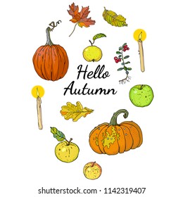 Hello autumn set, isolated objects with inscription: pumpkins, apples, oak and maple falling leaves, lingonberry, candles. Hand drawn vector illustration. Harvest season. Festive decoration.