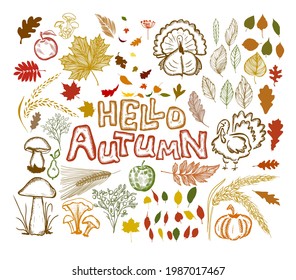 Hello Autumn. A set of autumn items. Vector illustration