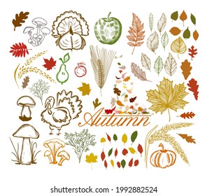 Hello Autumn. A set of autumn items. Vector illustration