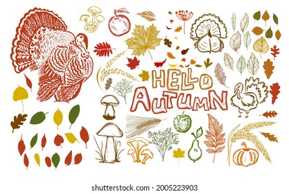 Hello Autumn. A set of autumn items. Vector illustration