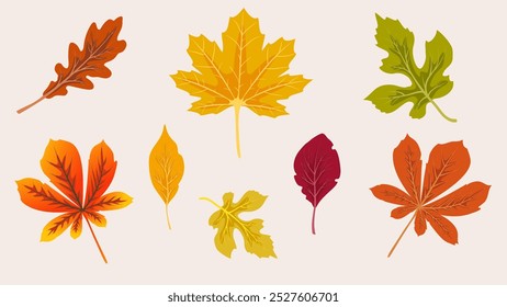 Hello, Autumn. Set of autumn leaves. Template for the design of banners, posters, advertising, postcards, sales Vector illustration