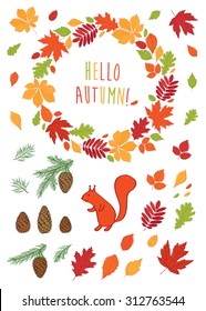 Hello autumn! Set autumn pictures. Fall of the leaves. Cones, spruce and pine spruce, squirrel. Wreath of autumn leaves. Sketch, design elements. Vector illustration.