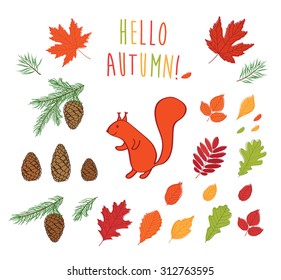 Hello autumn! Set autumn pictures. Fall of the leaves. Cones, spruce and pine spruce, squirrel.  Sketch, design elements. Vector illustration.