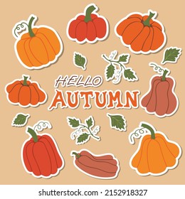 Hello autumn. Set of pumpkin stickers. Autumn design elements for posters, invitations, covers, banners, placards and brochures.Vector illustration.