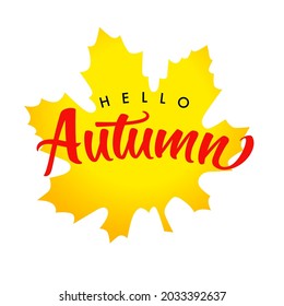 Hello Autumn sign. Creative icon. Back to school congrats. Calligraphic text and maple leaves. Plant elements. Foliage, red letters, Decorative calligraphy. Isolated abstract graphic design template.