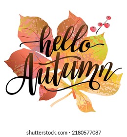 Hello autumn sign. Fall composition with colorful leaves, berries and lettering inscription. Autumn background. Vector illustration.