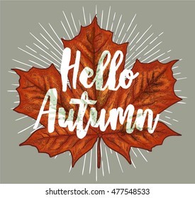 hello autumn, Sketch, design elements. watercolor Vector illustration
