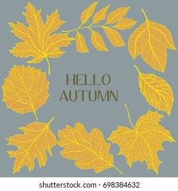 Hello Autumn square background with golden fall leaves around it