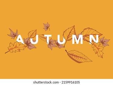 Hello Autumn Template Background leaves square frame poster vector illustration