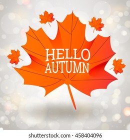 Hello Autumn template with orange Maple Leaf on gray background