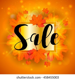hello autumn template with orange maple leaf on gray background design sale gold