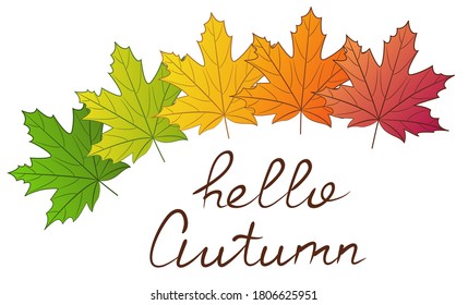 Hello autumn text. Banner decorated with maple leaves of different colors. Objects isolated on a white background. Vector illustration.