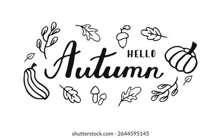 Hello autumn text font calligraphy handwritten lettering script black color. Fall season banner with maple pumpkin leaves acorn. Script text created by hand. Quote for inspiring poster, social media