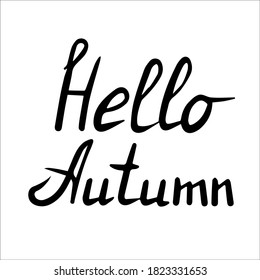 Hello Autumn text isolated on white background. Hand draw vector 
inscription for web, print. 