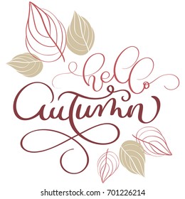 Hello autumn text and leaves on white background. Hand drawn Calligraphy lettering Vector illustration EPS10.