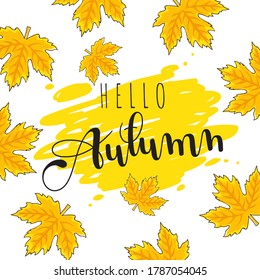 Hello Autumn text poster of September leaf fall or autumnal foliage of maple, oak acorn and elm for shopping sale design or promo poster and leaflet or web banner