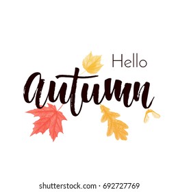 Hello Autumn text poster of September leaf fall or autumnal foliage of maple, oak acorn and elm for shopping sale design or promo poster and leaflet or web banner