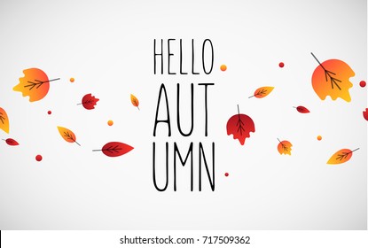 Hello Autumn text poster of September leaf fall or autumnal foliage of maple, oak acorn and elm for shopping sale design or promo poster and leaflet or web banner