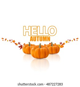 Hello Autumn Text with Pumpkin And Fall Leaves. Vector Design, Photorealistic pumpkin Illustration and autumn leaves collection.

.
