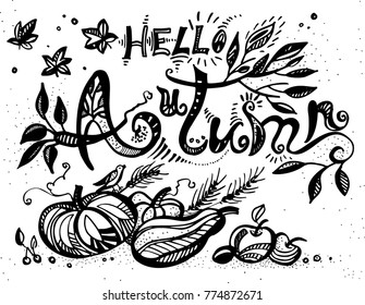 Hello autumn typographic design. Hand drawn vintage illustration with hand-lettering and decoration elements. Vector illustration. 