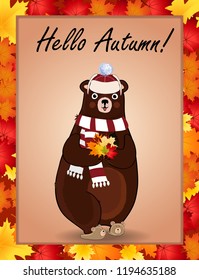 Hello autumn typography design card. Vector cartoon character illustration of cute bear in white knitted scarf and hat holding maple leaves bouquet in paws framed with colored autumn border frame.