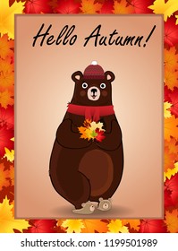 Hello autumn typography design card. Vector cartoon character illustration of cute bear in red knitted scarf and hat holding maple leaves bouquet in paws framed with colored autumn border frame.