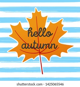 Hello autumn vector banner or poster gradient flat style design vector illustration. Huge orange maple leaf with text isolated on stripe brush stroke  background.