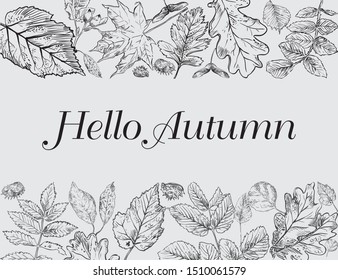 Hello Autumn, vector banner template with hand drawing leaves. Card can be used for invitation, special offer, poster. Vector frame of different autumn foliage in monochrome colors.Vector Illustration