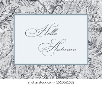 Hello Autumn, vector banner template with hand drawing leaves.Card can be used for invitation, special offer, poster. Vector frame of different autumn foliage in monochrome colors. Vector Illustration
