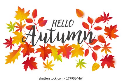 Hello Autumn vector. Beautiful bright leaves and text on white background.