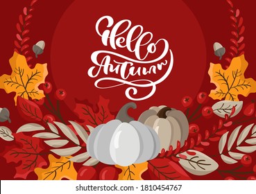 Hello Autumn vector calligraphy lettering text. Cute greeting card with pumpkin, leaves and berries. Fall concept of Thanksgiving Day.
