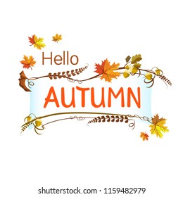 Hello Autumn. Vector autumn frame illustration with fallen leaves, acorns on isolated white background. 