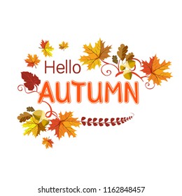 Hello Autumn. Vector autumn frame illustration with fallen leaves, acorns on isolated white background. 