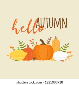 Hello autumn vector graphic illustration with writing. Editable card for print or web. Set of different types of pumpkin, squash, leaves and plants. Natural, seasonal greeting card.