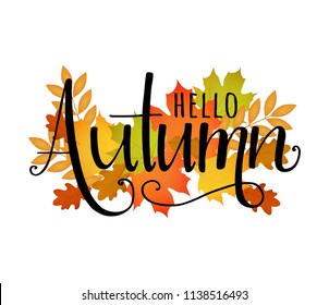 Hello autumn. Vector hand drawl lettering with autumn leaves. 