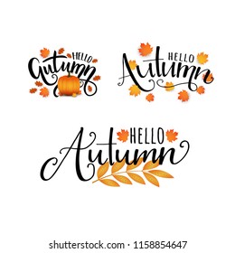 Hello Autumn. Vector hand drawn lettering about autumn