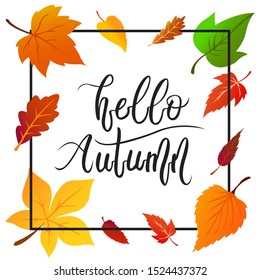 Hello Autumn Vector hand lettering for banner, poster, flyer, card invitation etc