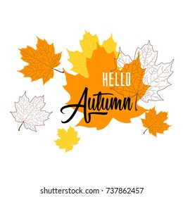 Hello Autumn. Vector illustration