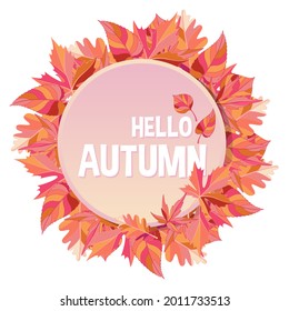 hello autumn vector illustration background