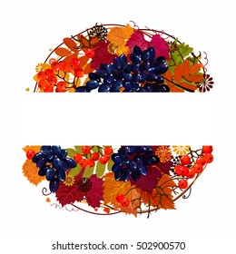 Hello, Autumn! vector illustration. Background with mountain ash, viburnum leaves. Forest design elements. Grapes. Bright greeting card! Pattern, wreath of grape leaves. Vector illustration. 