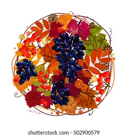 Hello, Autumn! vector illustration. Background with mountain ash, viburnum leaves. Forest design elements. Grapes. Bright greeting card! Pattern, wreath of grape leaves. Vector illustration. 